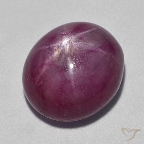 15.09ct Natural Púrpura rojizo rubí estrella, Ovalada, Opaco
