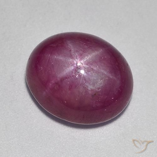 9.44ct Natural Púrpura rojizo rubí estrella, Ovalada, Opaco