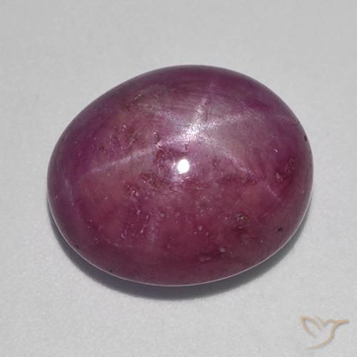 12.54ct Natural Púrpura ciruela rubí estrella, Ovalada, Opaco
