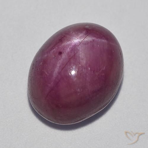 11.42ct Natural Púrpura oscuro medio rubí estrella, Ovalada, Opaco