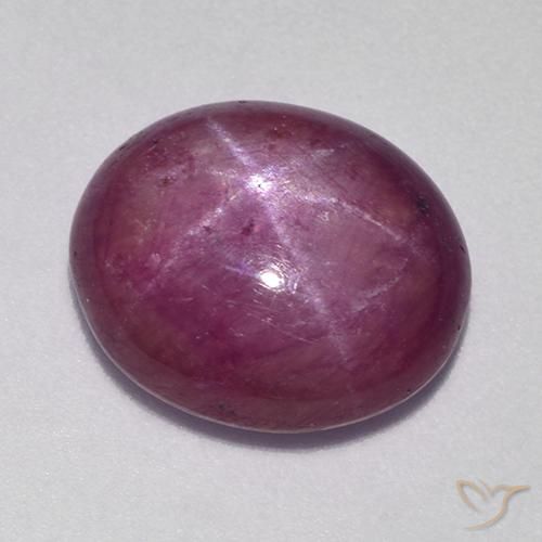 9.50ct Natural Púrpura oscuro medio rubí estrella, Ovalada, Opaco