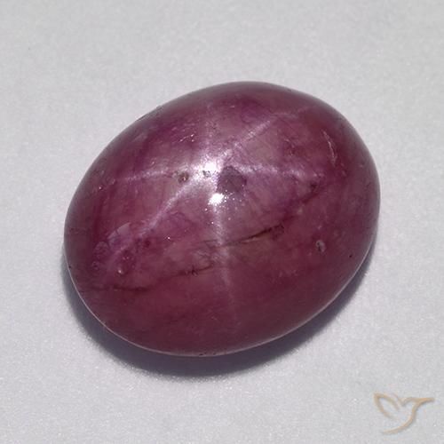 10.57ct Natural Púrpura oscuro medio rubí estrella, Ovalada, Opaco