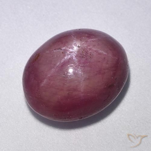 11.40ct Natural Púrpura medio rubí estrella, Ovalada, Opaco