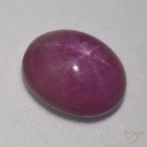 8.86ct Natural Púrpura oscuro medio rubí estrella, Ovalada, Opaco