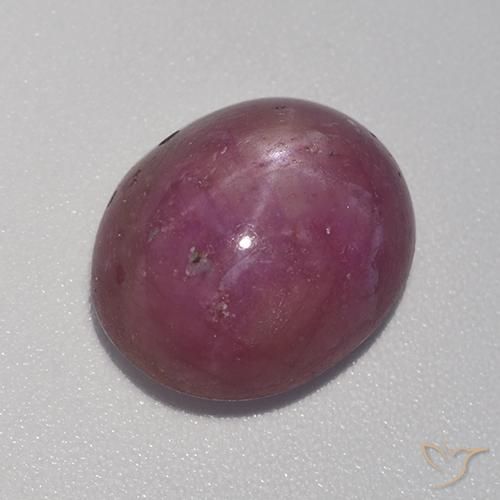 8.41ct Natural Púrpura oscuro medio rubí estrella, Ovalada, Opaco