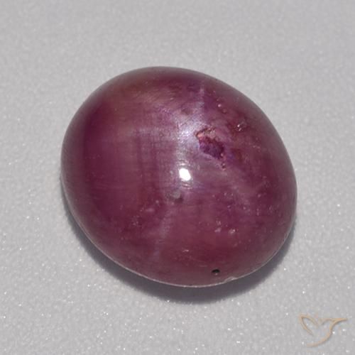 5.68ct Natural Púrpura rojizo rubí estrella, Ovalada, Opaco