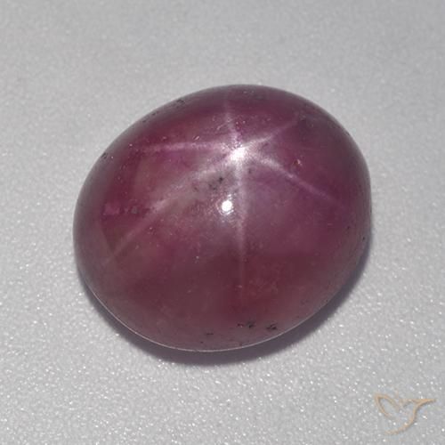 11.15ct Natural Púrpura ciruela rubí estrella, Ovalada, Opaco