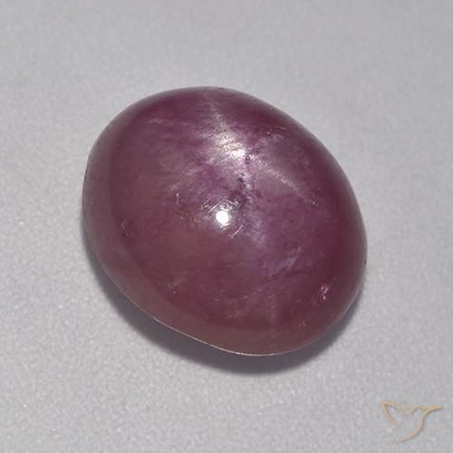 6.32ct Natural Púrpura ciruela rubí estrella, Ovalada, Opaco