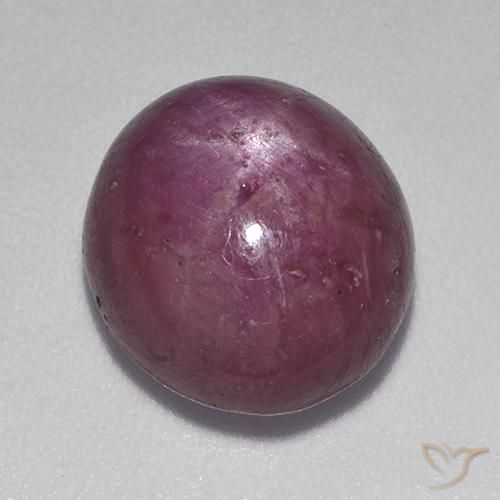 9.28ct Natural Púrpura rojizo rubí estrella, Ovalada, Opaco