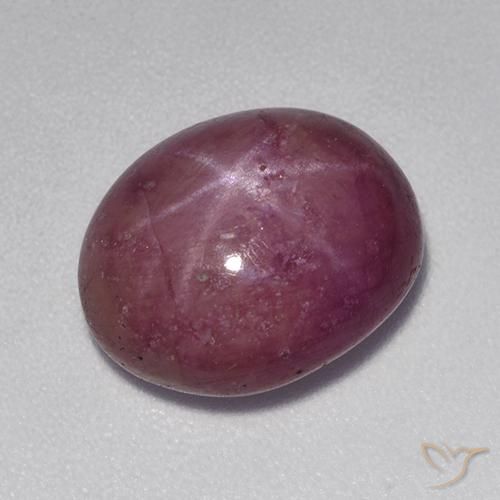 8.90ct Natural Púrpura oscuro medio rubí estrella, Ovalada, Opaco