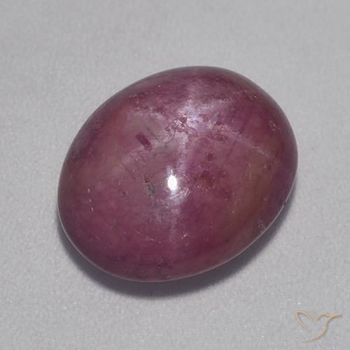 8.30ct Natural Púrpura oscuro medio rubí estrella, Ovalada, Opaco