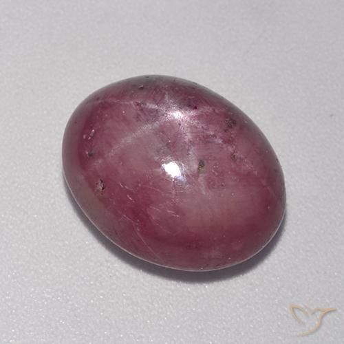7.78ct Natural Púrpura ciruela rubí estrella, Ovalada, Opaco