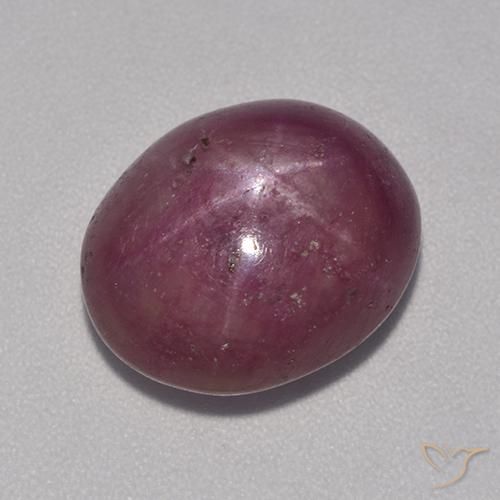 10.86ct Natural Púrpura ciruela rubí estrella, Ovalada, Opaco