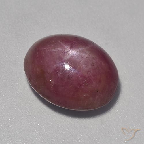 8.17ct Natural Púrpura ciruela rubí estrella, Ovalada, Opaco