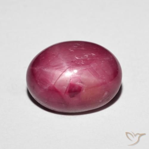 6.14ct Natural Rojo oscuro rubí estrella, Ovalada, Opaco