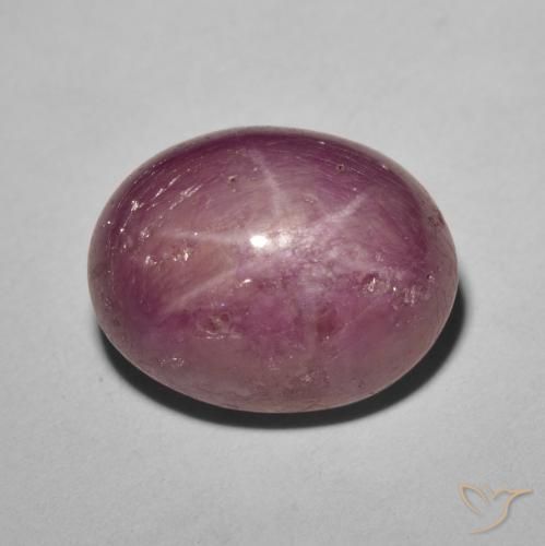 8.61ct Natural Púrpura rojizo rubí estrella, Ovalada, Opaco