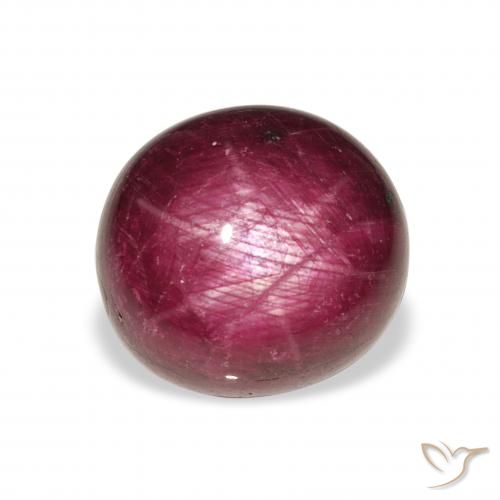 11.86ct Natural Púrpura rosado rubí estrella, Ovalada, Opaco