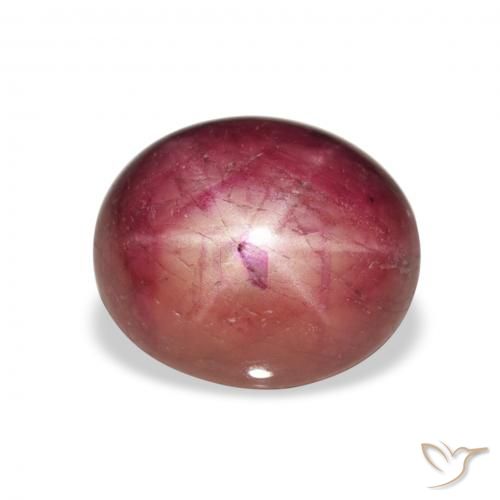 8.14ct Natural Medium Light-Purple rubí estrella, Ovalada, Opaco