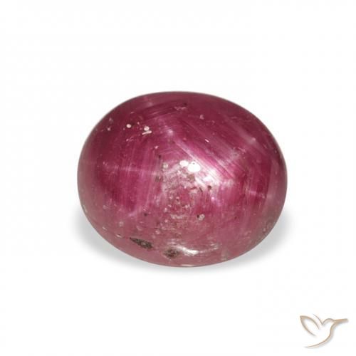 3.43ct Natural Púrpura baya rosado rubí estrella, Ovalada, Opaco