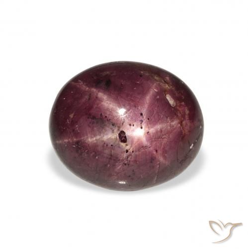 9.90ct Natural Púrpura rojizo rubí estrella, Ovalada, Opaco