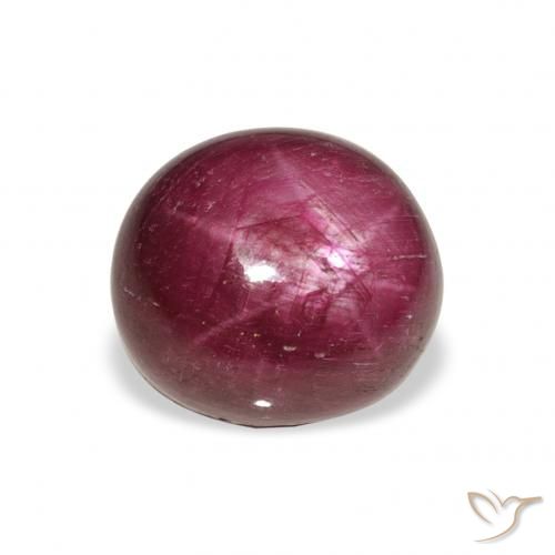 9.87ct Natural Medium Dark-Purple rubí estrella, Ovalada, Opaco