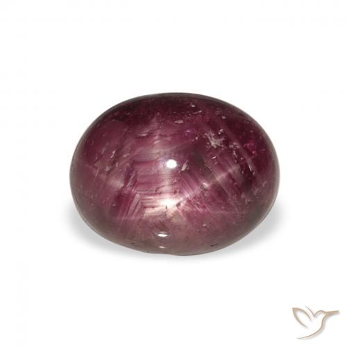 4.75ct Natural Púrpura ciruela rubí estrella, Ovalada, Opaco