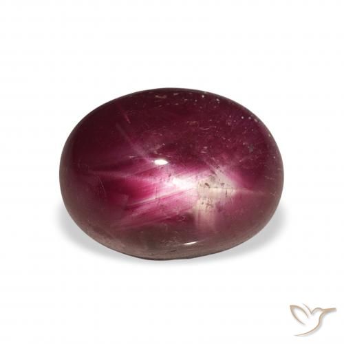 6.34ct Natural Rojo oscuro rubí estrella, Ovalada, Opaco