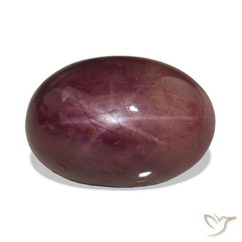 rubí estrella Púrpura ciruela natural de 15.06 ct, Ovalada, Opaco