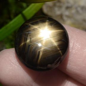 Zafiro estrella negro natural de 30,49 ct, corte óvalo, opaco