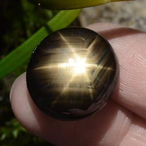 Zafiro estrella negro natural de 30,49 ct, corte óvalo, opaco