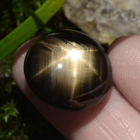 Zafiro estrella negro natural de 30,49 ct, corte óvalo, opaco