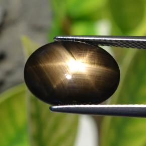 Zafiro estrella negro natural de 6,32 ct, corte óvalo, opaco