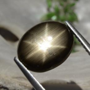 Zafiro estrella Negro natural de 3.26 ct, Corte Óvalo, Opaco