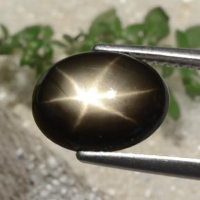 Zafiro estrella Negro natural de 3.05 ct, Corte Óvalo, Opaco