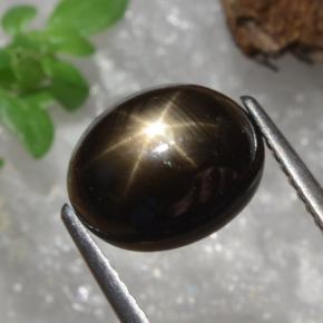 Zafiro estrella negro natural de 4,91 ct, corte óvalo, opaco