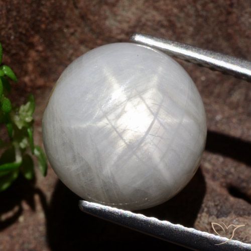 8.80ct Natural Gris muy claro Zafiro estrella, Redondo, Opaco