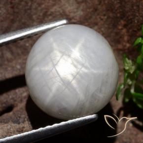 Zafiro estrella Gris muy claro natural de 8.80 ct, Redondo, Opaco
