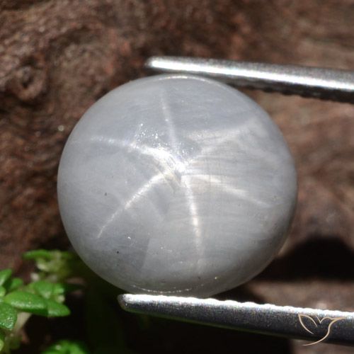 8.96ct Natural Verde medio Zafiro estrella, Redondo, Opaco