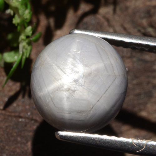 6.61ct Natural Gris oscuro medio Zafiro estrella, Ovalada, Opaco