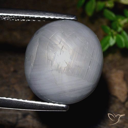 14.39ct Natural Gris azulado Zafiro estrella, Ovalada, Opaco