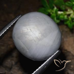 Zafiro estrella Gris azulado natural de 14.39 ct, Ovalada, Opaco