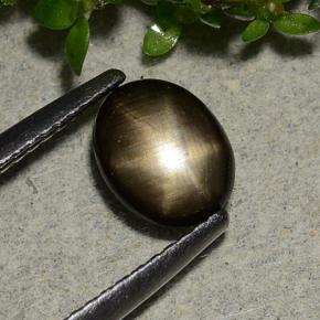 Zafiro estrella negro natural de 1,15 ct, corte óvalo, opaco