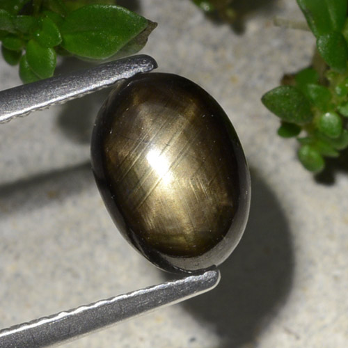 Zafiro estrella negro natural de 2,20 ct, corte óvalo, opaco