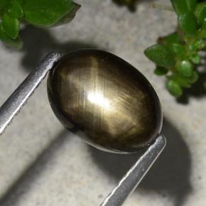 Zafiro estrella negro natural de 2,20 ct, corte óvalo, opaco