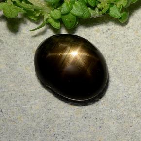 Zafiro estrella Negro natural de 2.31 ct, Corte Óvalo, Opaco