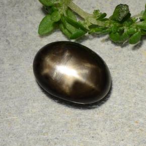 Zafiro estrella negro natural de 2,31 ct, corte óvalo, opaco