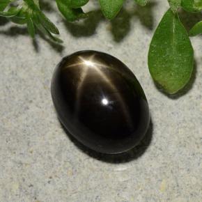 Zafiro estrella negro natural de 2,60 ct, corte óvalo, opaco