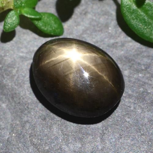 Zafiro estrella Negro natural de 2.55 ct, Corte Óvalo, Opaco