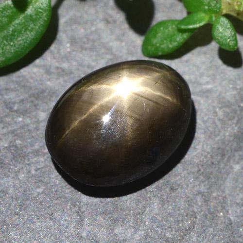 Zafiro estrella Negro natural de 2.55 ct, Corte Óvalo, Opaco