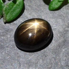 Zafiro estrella Negro natural de 2.28 ct, Corte Óvalo, Opaco